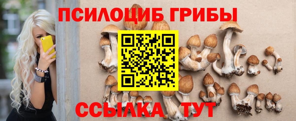 Псилоцибиновые грибы Magic Shrooms Таганрог