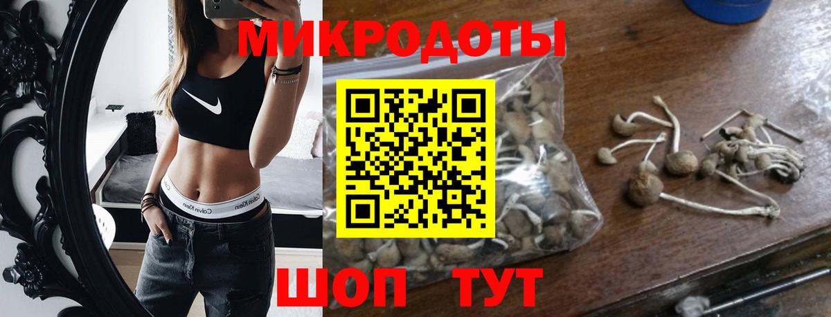 Галлюциногенные грибы Psilocybe  Вход с VPN  Таганрог 